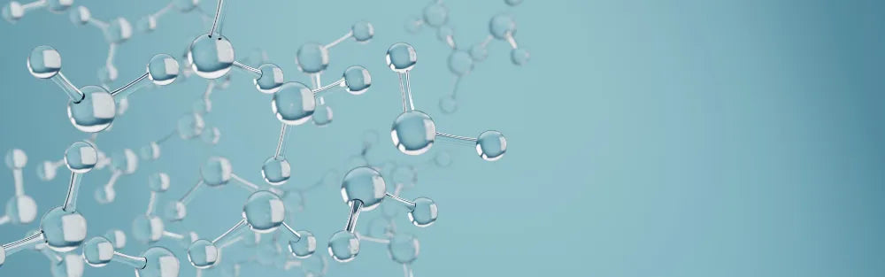 Understanding the Battle: Antioxidants and ageing